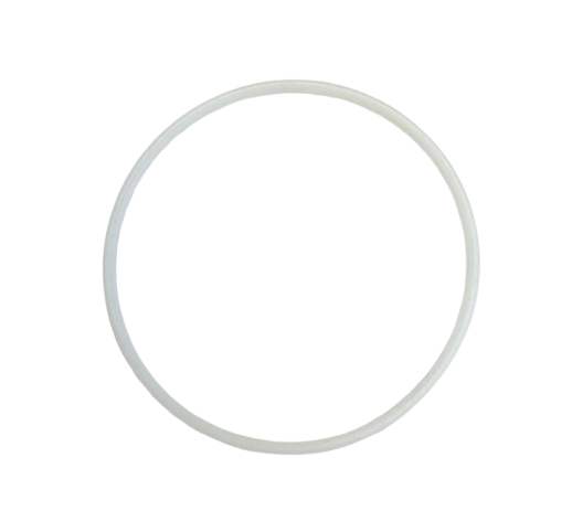 Titan 9871048 O-Ring PTFE
